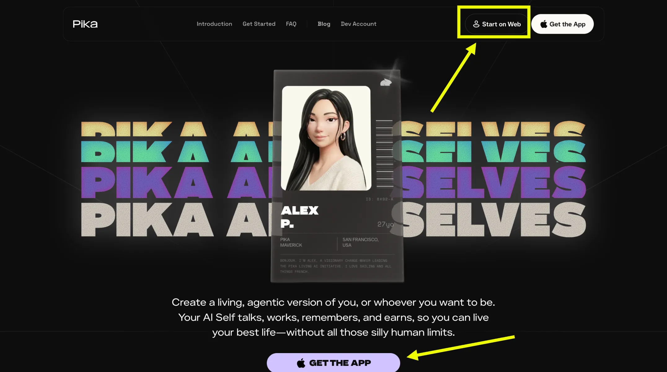 Pika Web Interface
